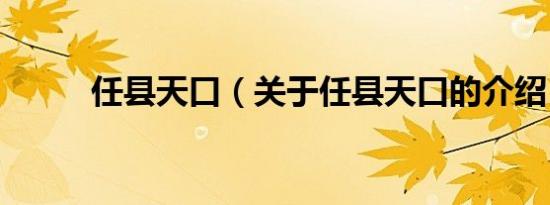 任县天口（关于任县天口的介绍）
