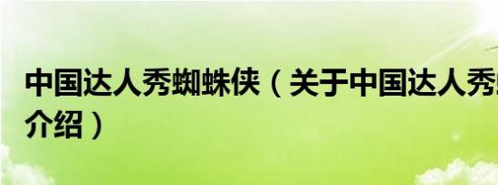 中国达人秀蜘蛛侠（关于中国达人秀蜘蛛侠的介绍）