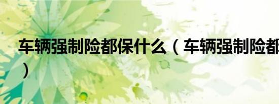 车辆强制险都保什么（车辆强制险都保什么?）