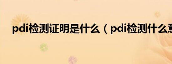 pdi检测证明是什么（pdi检测什么意思）