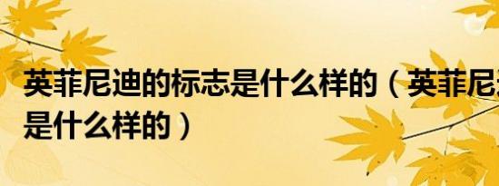 英菲尼迪的标志是什么样的（英菲尼迪的标志是什么样的）