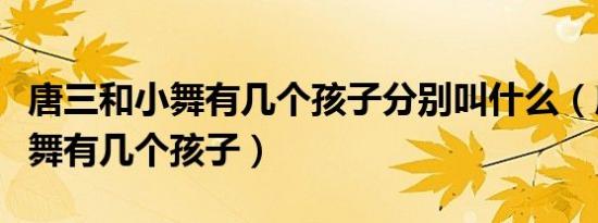唐三和小舞有几个孩子分别叫什么（唐三和小舞有几个孩子）
