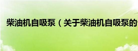 柴油机自吸泵（关于柴油机自吸泵的介绍）