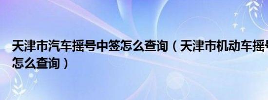 天津市汽车摇号中签怎么查询（天津市机动车摇号中签情况怎么查询）