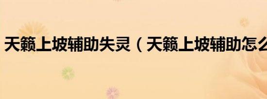天籁上坡辅助失灵（天籁上坡辅助怎么开启）
