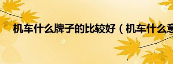 机车什么牌子的比较好（机车什么意思）