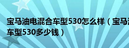 宝马油电混合车型530怎么样（宝马油电混合车型530多少钱）