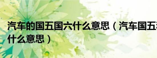 汽车的国五国六什么意思（汽车国五和国六是什么意思）