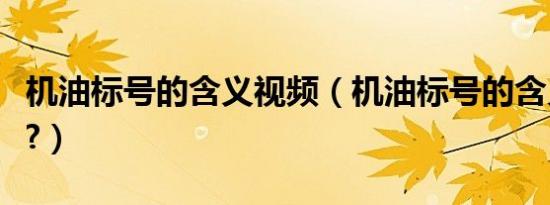 机油标号的含义视频（机油标号的含义是什么?）