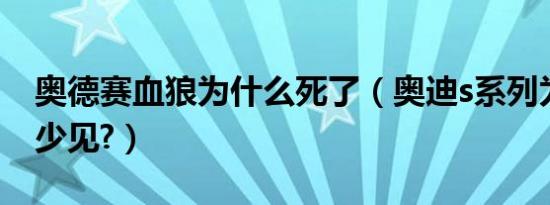 奥德赛血狼为什么死了（奥迪s系列为什么很少见?）