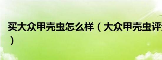 买大众甲壳虫怎么样（大众甲壳虫评测怎么样）