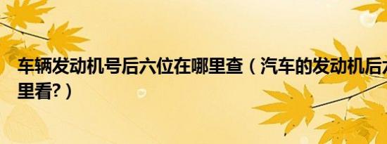 车辆发动机号后六位在哪里查（汽车的发动机后六位号在哪里看?）