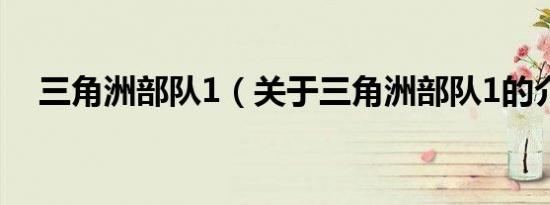 三角洲部队1（关于三角洲部队1的介绍）