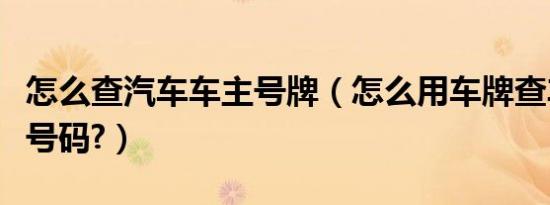 怎么查汽车车主号牌（怎么用车牌查车主手机号码?）
