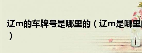 辽m的车牌号是哪里的（辽m是哪里的车牌号）