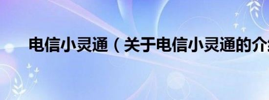 电信小灵通（关于电信小灵通的介绍）