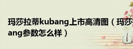 玛莎拉蒂kubang上市高清图（玛莎拉蒂kubang参数怎么样）