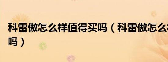 科雷傲怎么样值得买吗（科雷傲怎么样值得买吗）