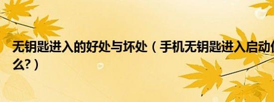 无钥匙进入的好处与坏处（手机无钥匙进入启动优缺点是什么?）