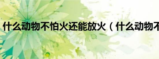 什么动物不怕火还能放火（什么动物不怕火）