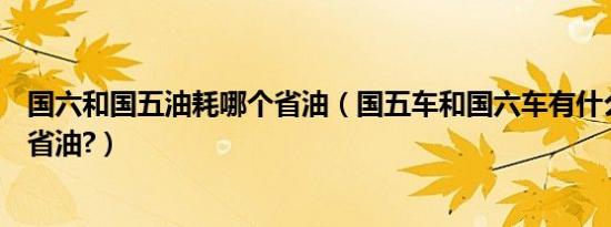 国六和国五油耗哪个省油（国五车和国六车有什么区别那个省油?）