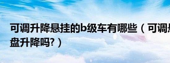 可调升降悬挂的b级车有哪些（可调悬挂是底盘升降吗?）