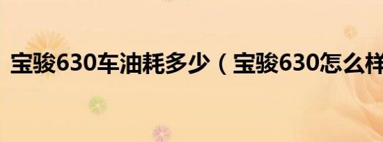 宝骏630车油耗多少（宝骏630怎么样油耗）
