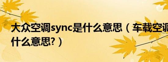 大众空调sync是什么意思（车载空调sync是什么意思?）