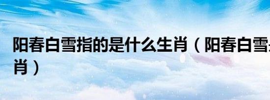 阳春白雪指的是什么生肖（阳春白雪是什么生肖）