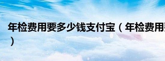 年检费用要多少钱支付宝（年检费用要多少钱）