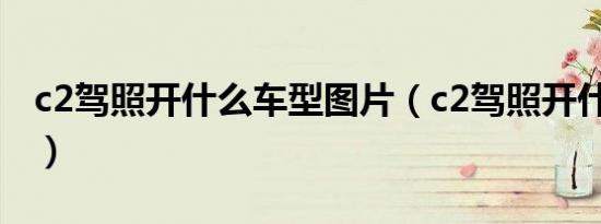 c2驾照开什么车型图片（c2驾照开什么车型?）