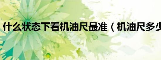 什么状态下看机油尺最准（机油尺多少正常）