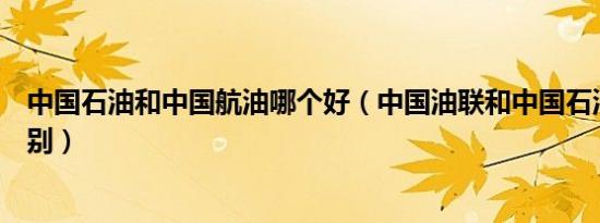中国石油和中国航油哪个好（中国油联和中国石油有什么区别）
