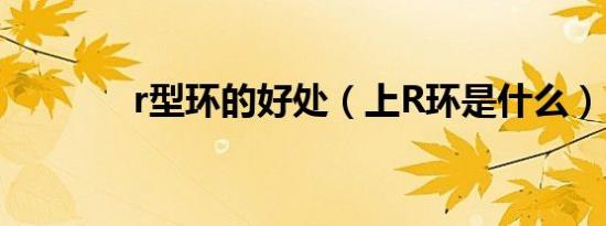r型环的好处（上R环是什么）