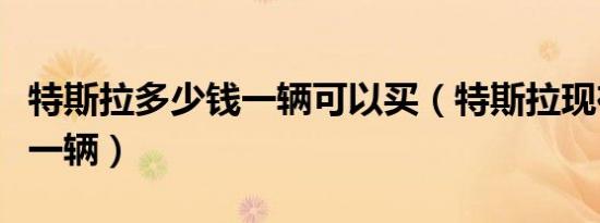 特斯拉多少钱一辆可以买（特斯拉现在多少钱一辆）