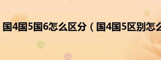 国4国5国6怎么区分（国4国5区别怎么识别）