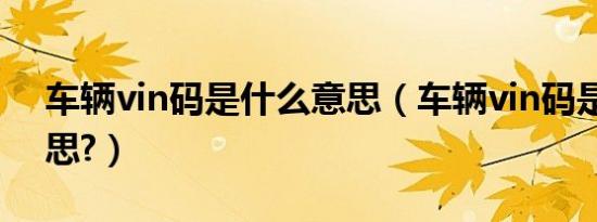 车辆vin码是什么意思（车辆vin码是什么意思?）