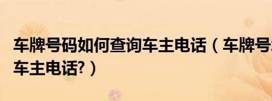 车牌号码如何查询车主电话（车牌号怎么查询车主电话?）