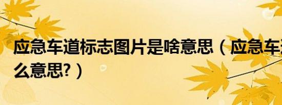 应急车道标志图片是啥意思（应急车道标志什么意思?）