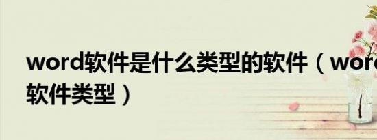 word软件是什么类型的软件（word是什么软件类型）