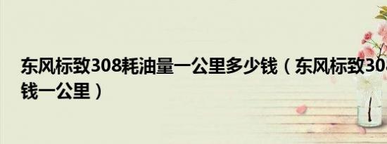 东风标致308耗油量一公里多少钱（东风标致308油耗多少钱一公里）