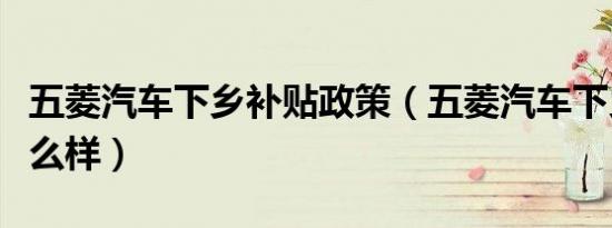 五菱汽车下乡补贴政策（五菱汽车下乡政策怎么样）