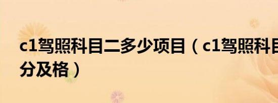 c1驾照科目二多少项目（c1驾照科目二多少分及格）