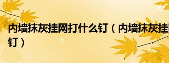内墙抹灰挂网打什么钉（内墙抹灰挂网用什么钉）