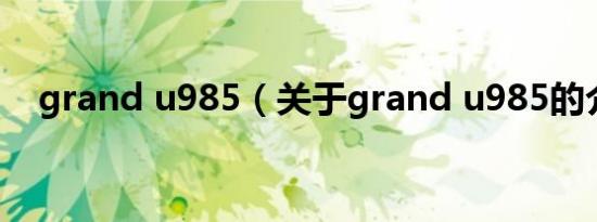 grand u985（关于grand u985的介绍）