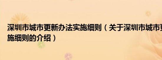 深圳市城市更新办法实施细则（关于深圳市城市更新办法实施细则的介绍）