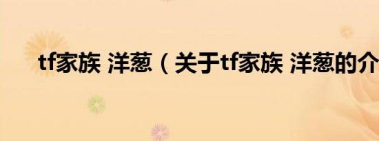 tf家族 洋葱（关于tf家族 洋葱的介绍）