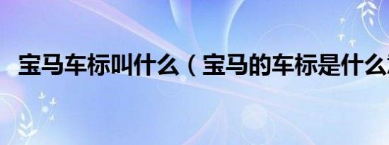 宝马车标叫什么（宝马的车标是什么意思）