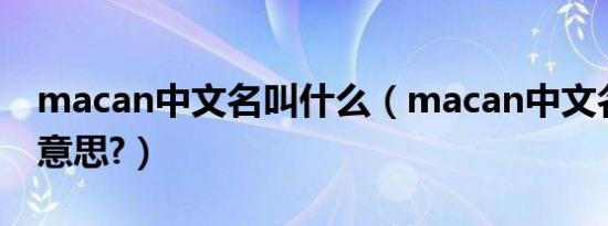 macan中文名叫什么（macan中文名叫什么意思?）