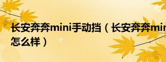 长安奔奔mini手动挡（长安奔奔mini自动挡怎么样）